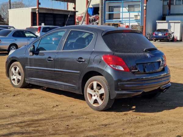 PEUGEOT 207