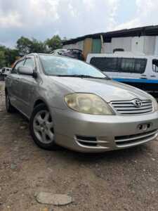 TOYOTA COROLLA
