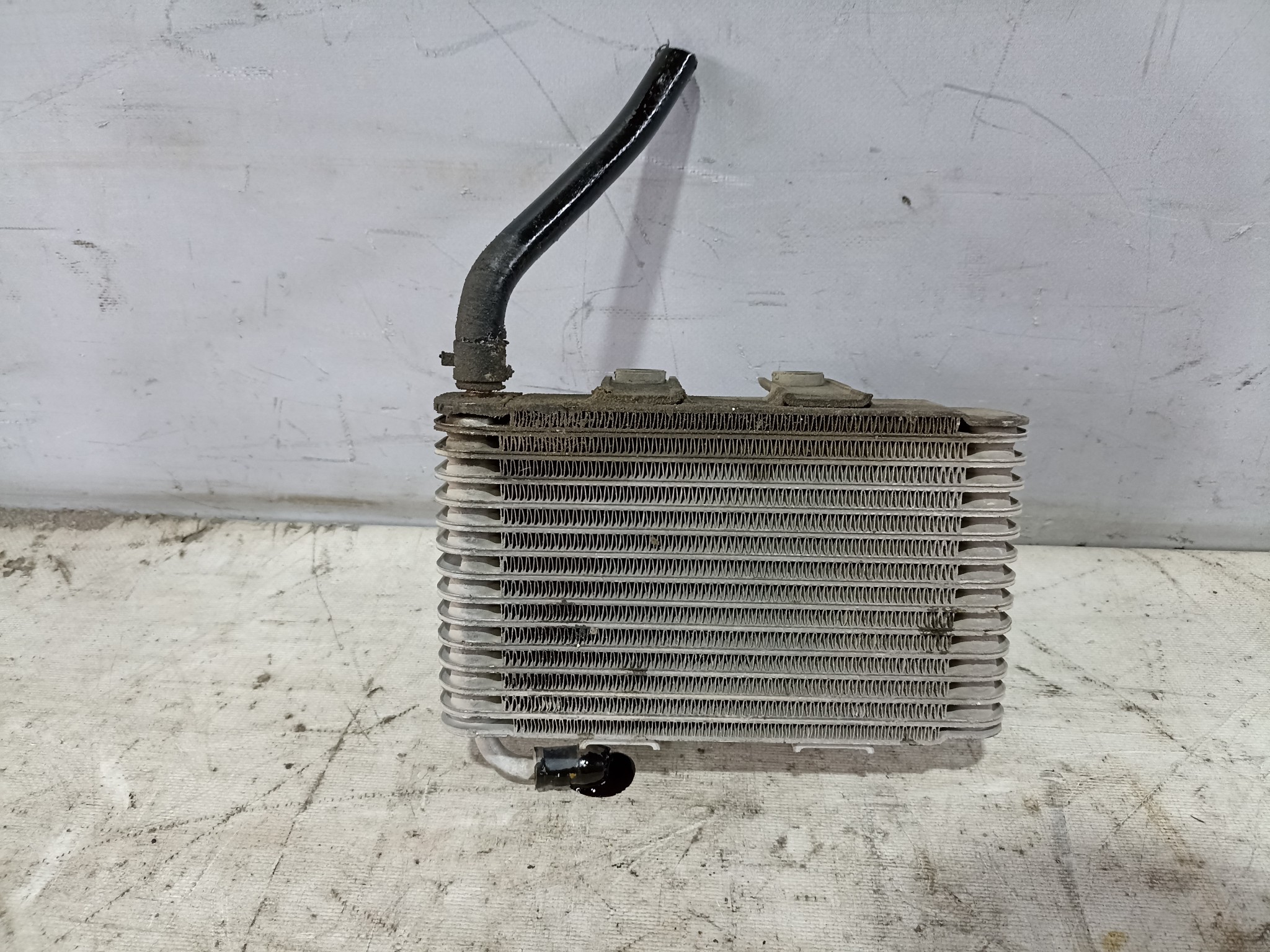altText