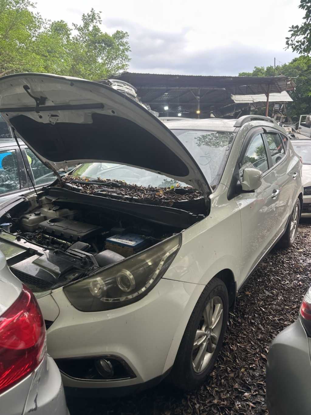 ДВИГАТЕЛЬ G4KD HYUNDAI KIA 101TM2GA01 YE172-BU346440