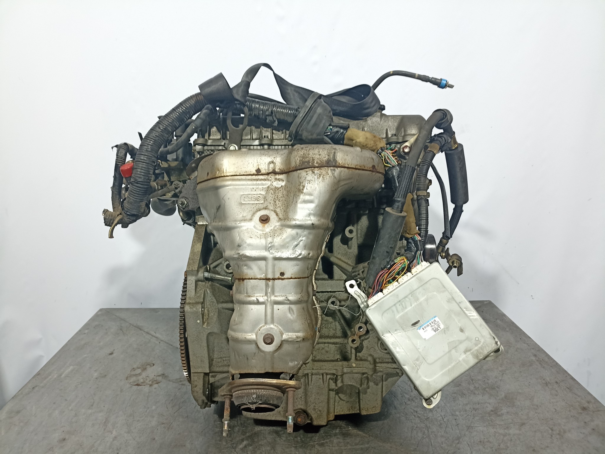 ДВИГАТЕЛЬ L3-DE MAZDA FORD L33602300B F2481-264188